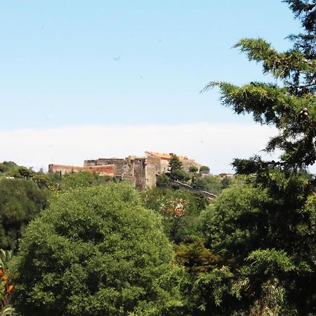 Magnifique Appartement Proche Centre Collioure Exteriör bild