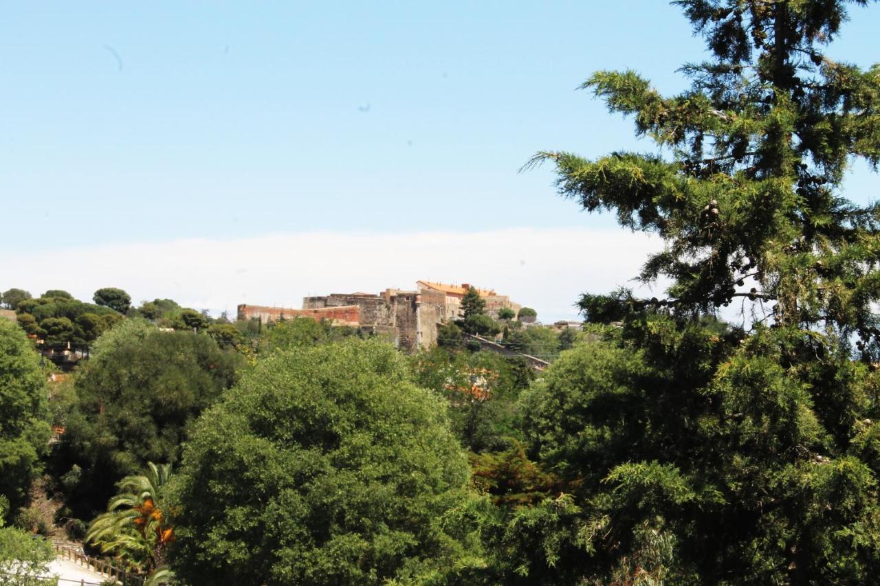 Magnifique Appartement Proche Centre Collioure Exteriör bild